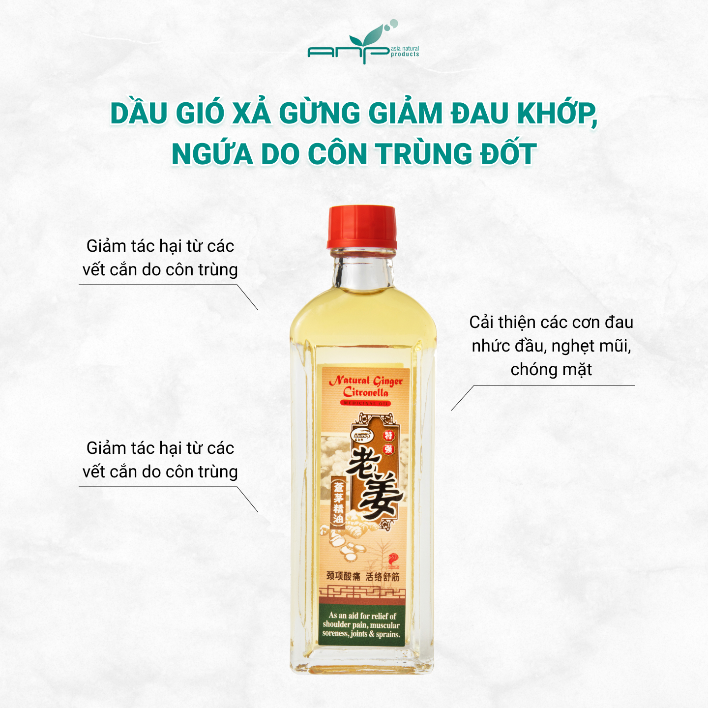 Dầu Gió Xả Gừng Giúp Giảm Đau Khớp Bong Gân Natural Ginger Citronella Thương Hiệu Singapore Giảm Ngứa Khi Bị Côn Trùng Cắn Muỗi Đốt 60ml