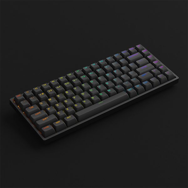 Bàn phím cơ AKKO 3084 v2 RGB – Black/White (Foam tiêu âm / Hotswap / AKKO CS Jelly switch) - Hàng chính hãng