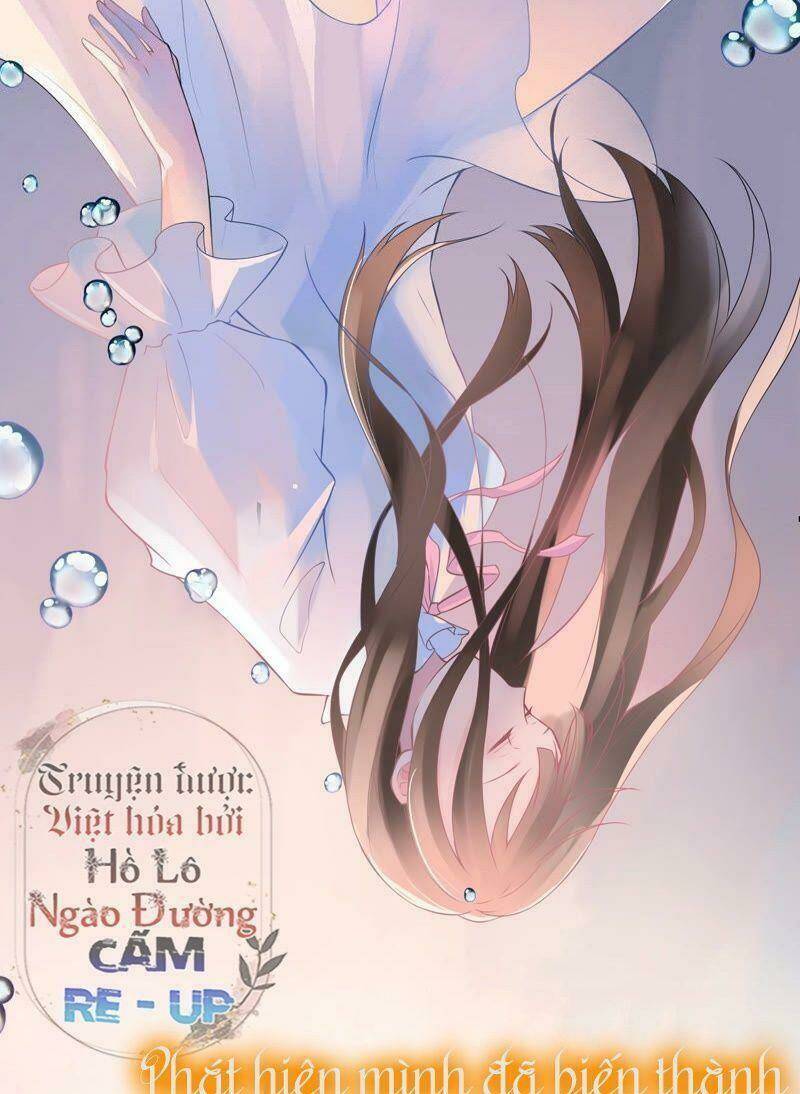 quận chúa vững vàng, thiết lập nhân vật không thể vỡ chapter 1 38