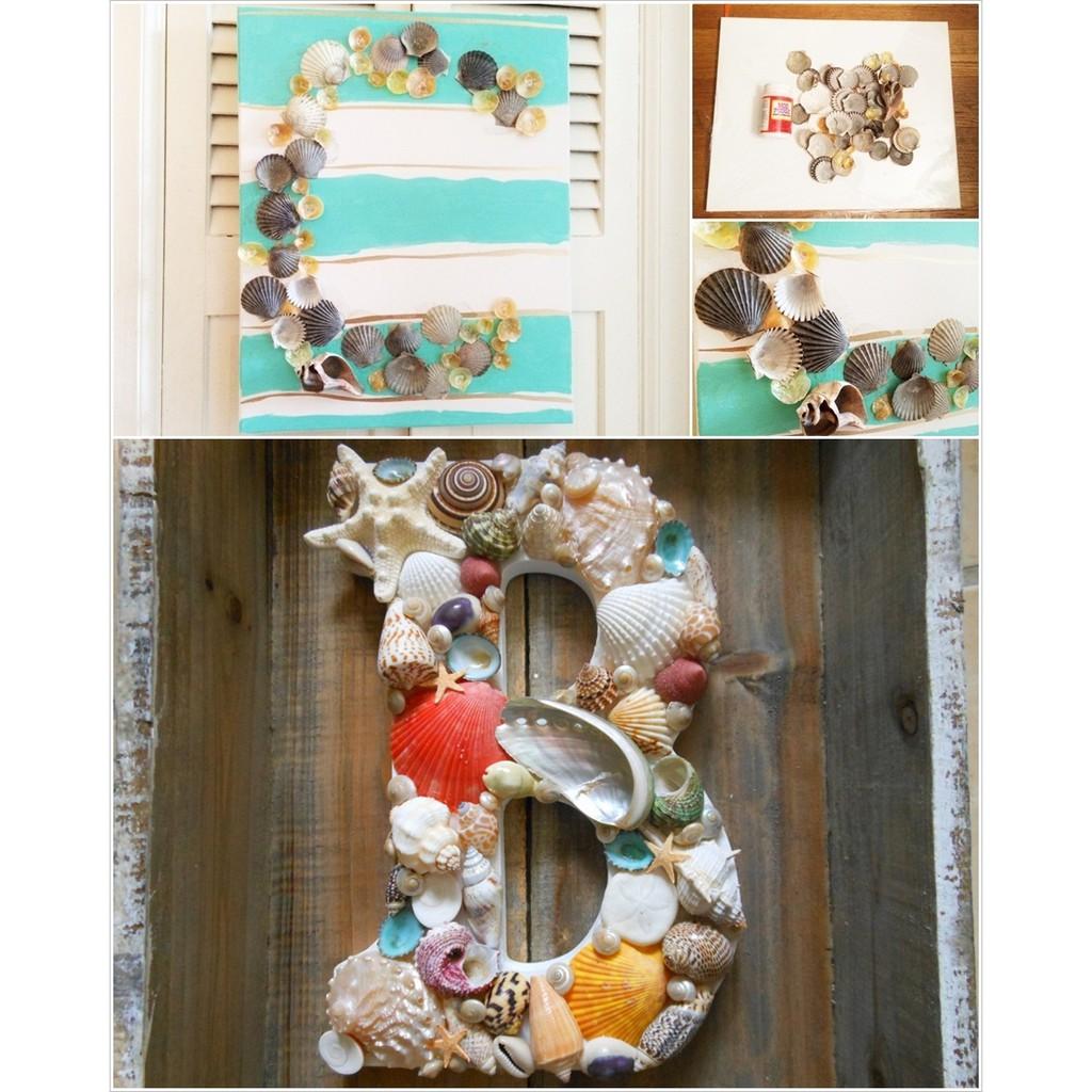 01 kg vỏ ngao thiết kế handmade