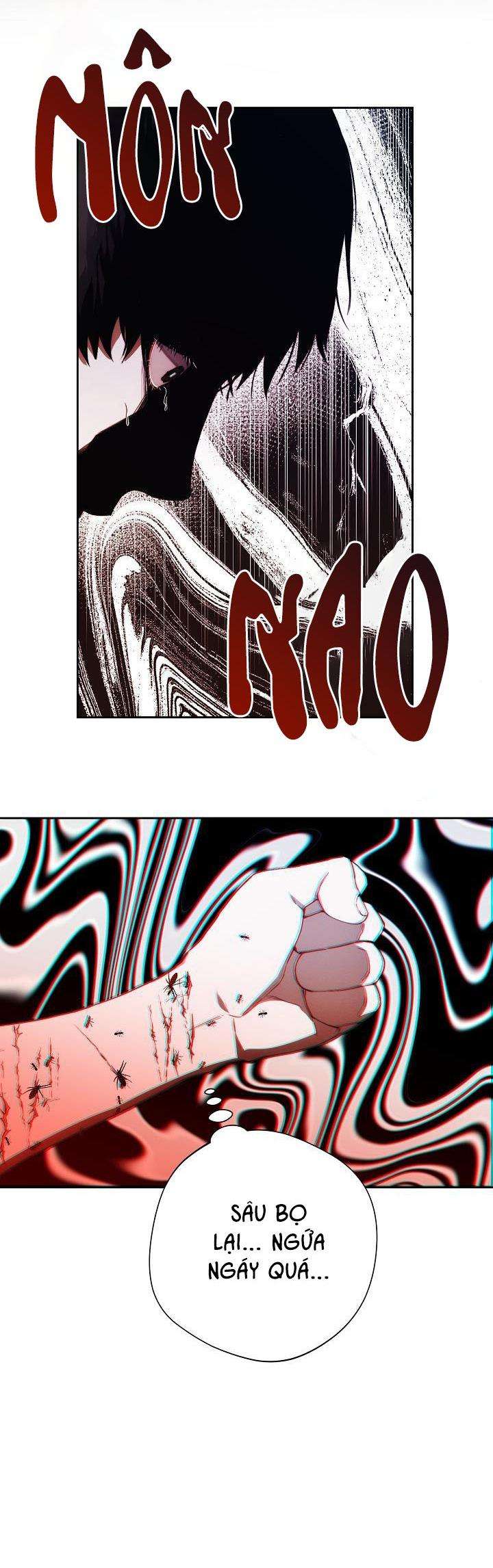 red mansion chapter 25 27