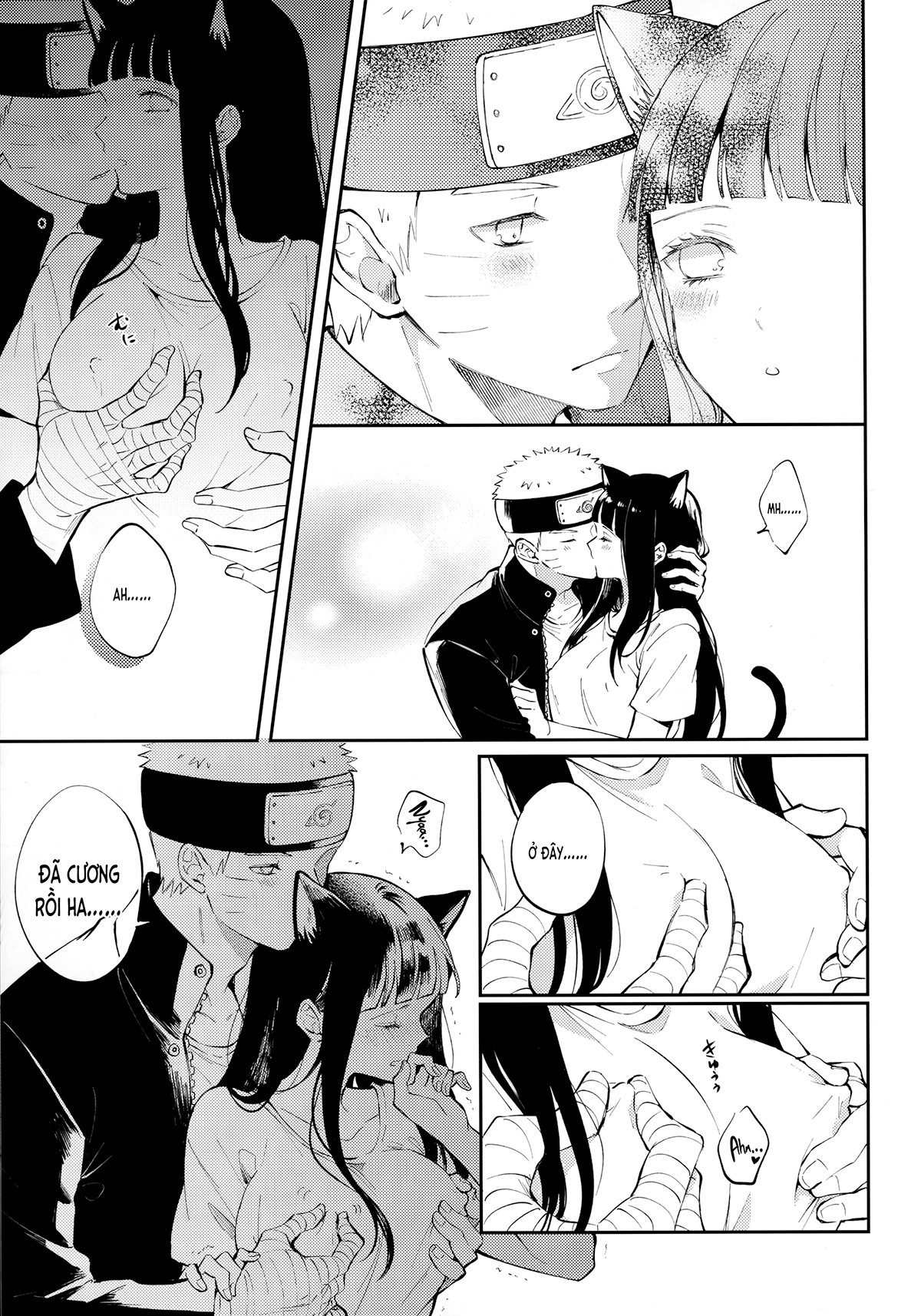 bé mèo dễ thương của tôi chapter 1 17