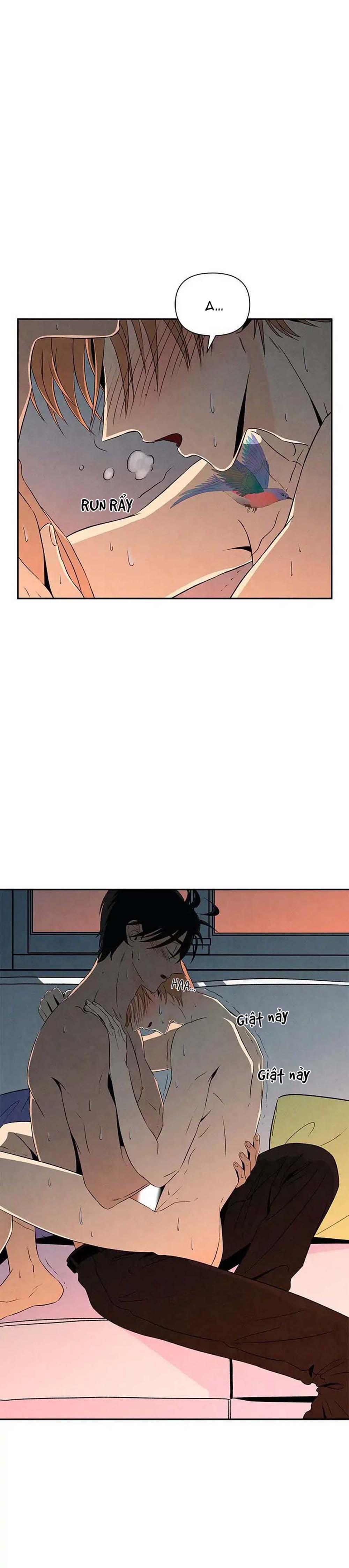 bona sort chapter 11 10