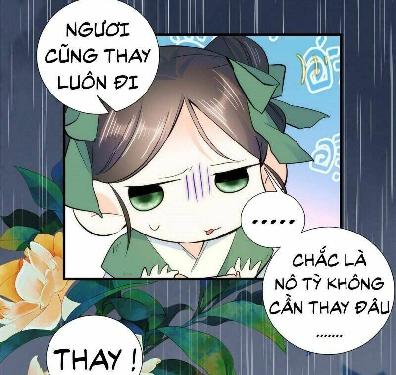 thiều quang mạn chapter 74 17