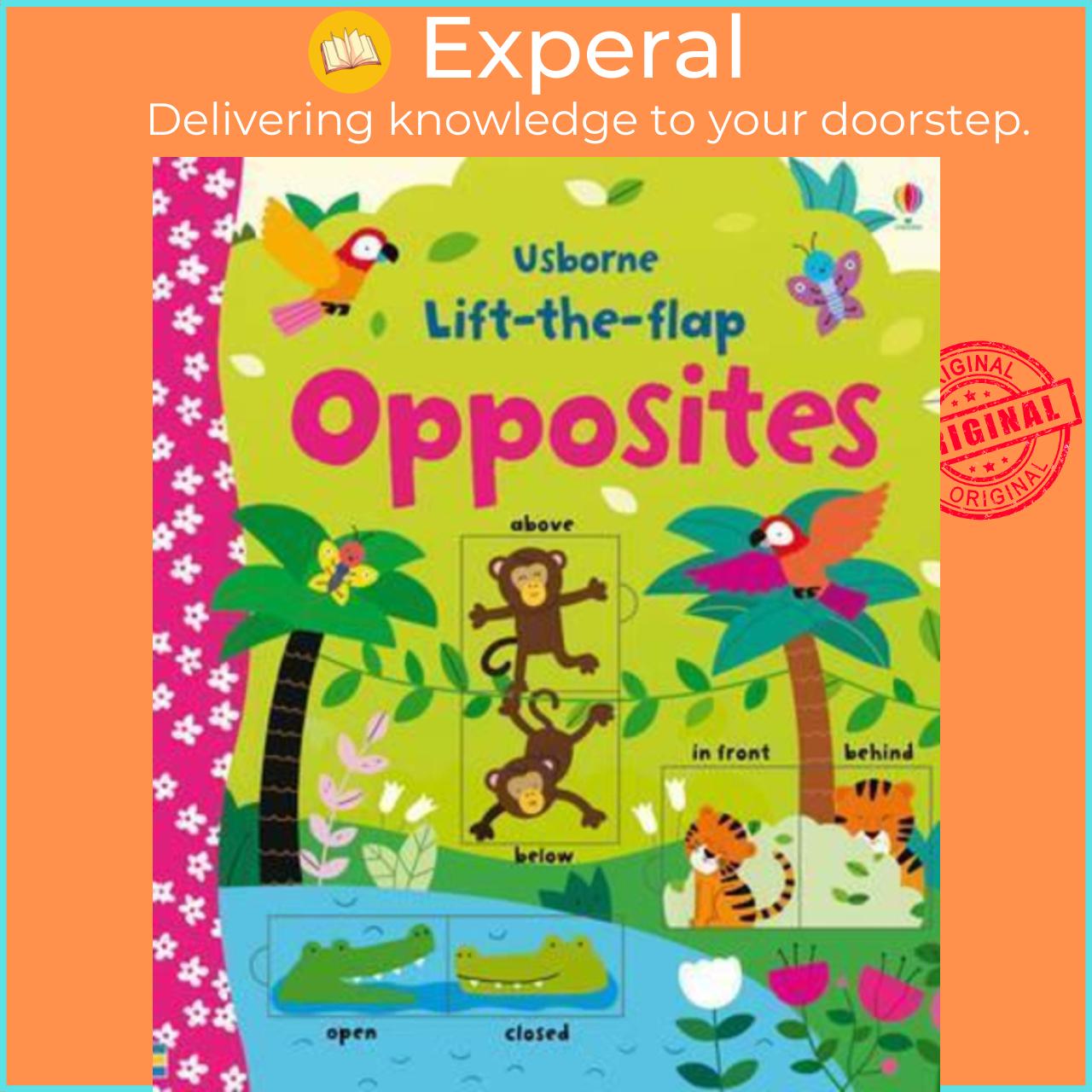 Sách - Lift-the-flap Opposites by Felicity Brooks