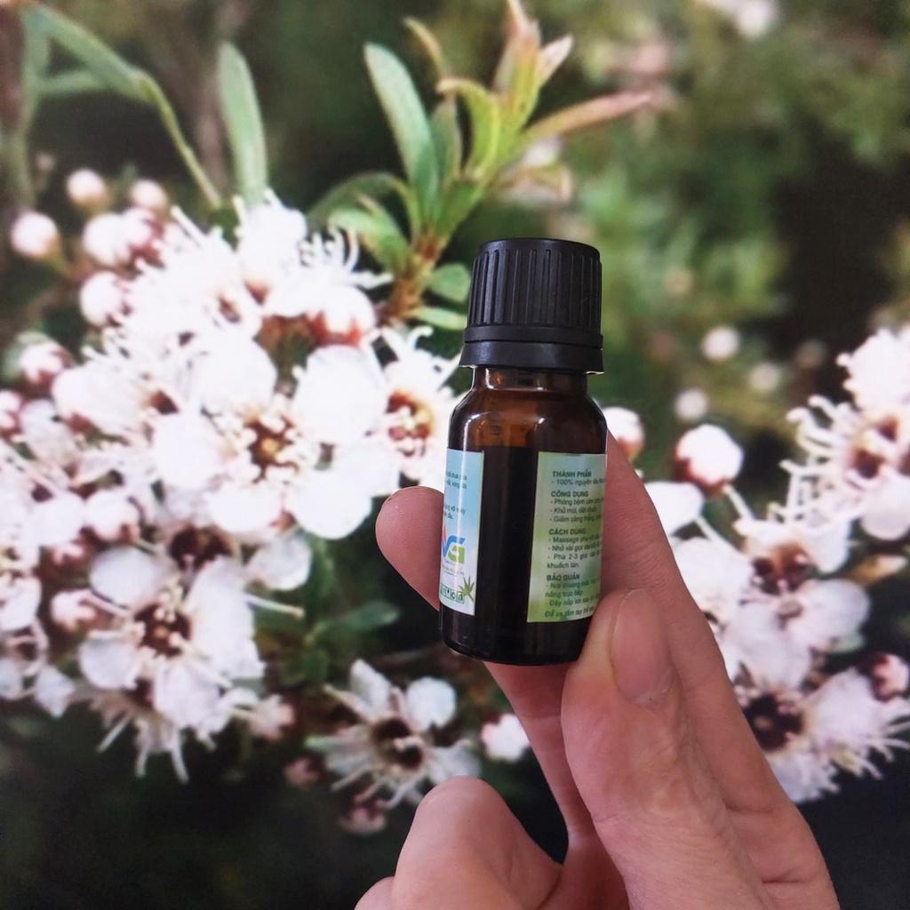 Tinh dầu trà trắng nguyên chất 10ml 20ml 50ml