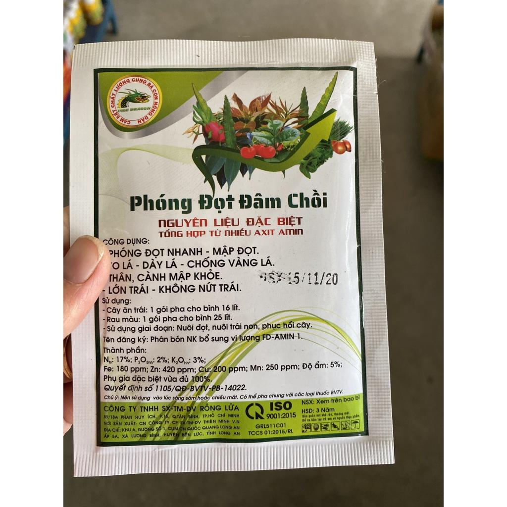 Phóng đọt nhanh - Đâm chồi mạnh