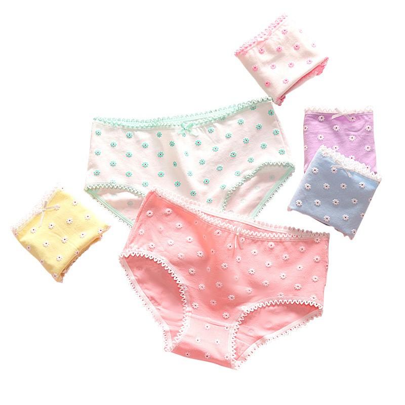 Quần Lót Nữ Cotton Kháng Khuẩn Hình Hoa Nổi Xuất Hàn Hàng Loại Đẹp.