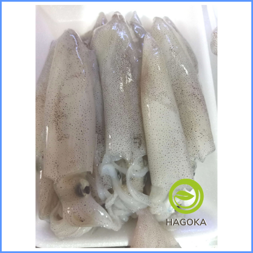 500gr MỰC ỐNG LAO