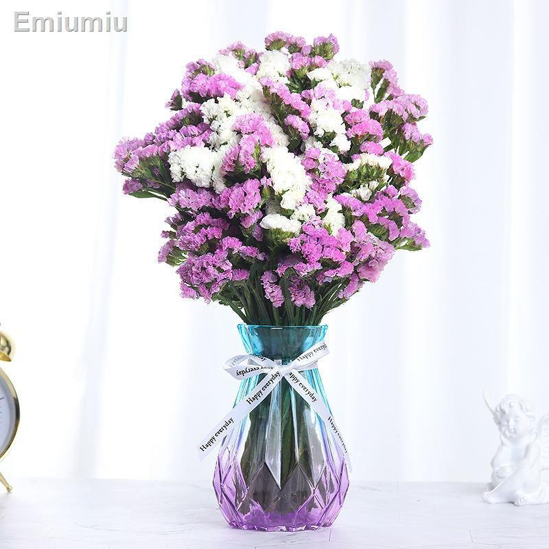 ▨◎▲Gypsophila hoa khô bó hoa thật khô số lượng lớn trong không khí trang trí đồ trang trí phòng khách