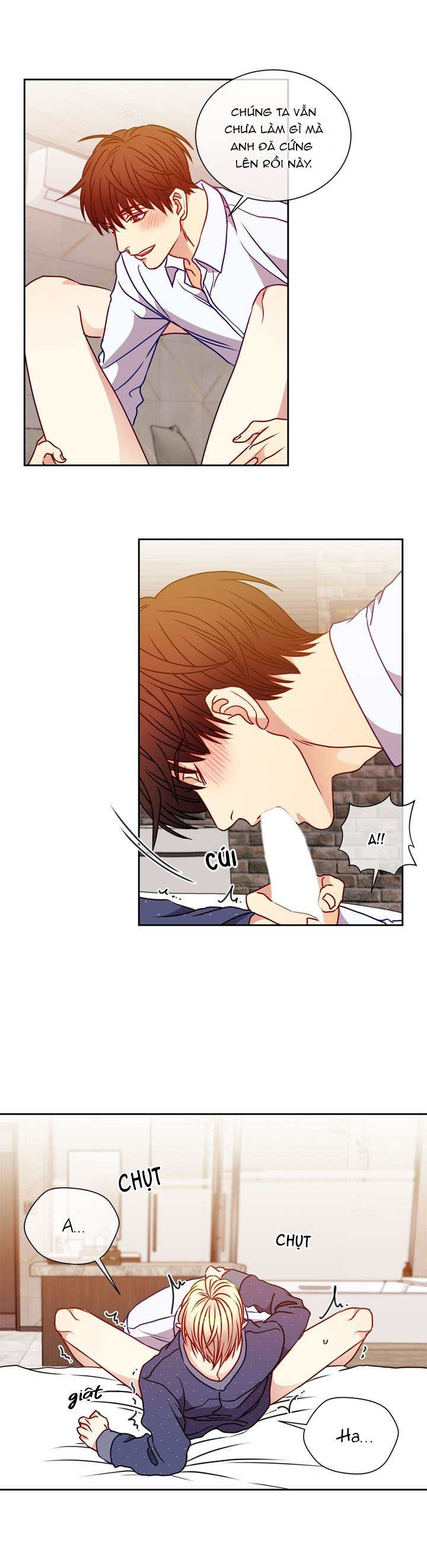 tựa như tình đầu chapter 58 7