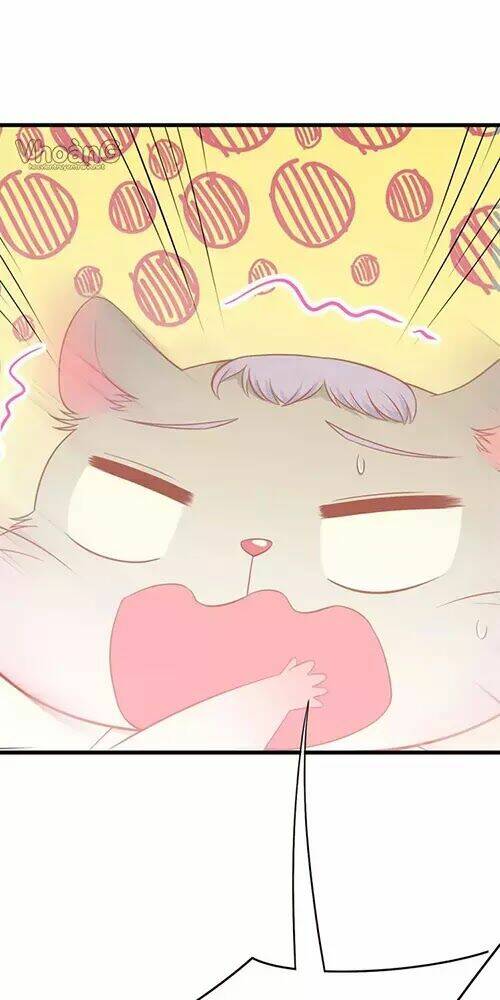 kế ước ngọt sủng:quốc dân lão công đích tiểu chiếm giữ thử chapter 2 29