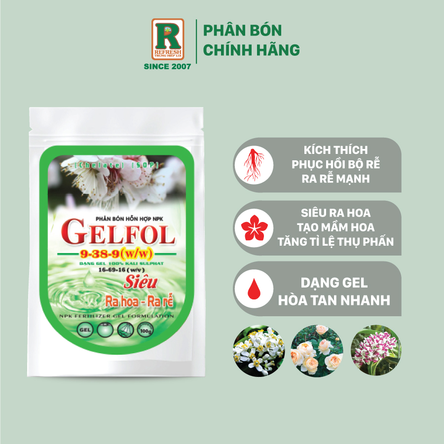 Phân bón NPK 16-69-16 GELFOL gel đậm đặc siêu ra hoa - ra rễ - phục hồi lá