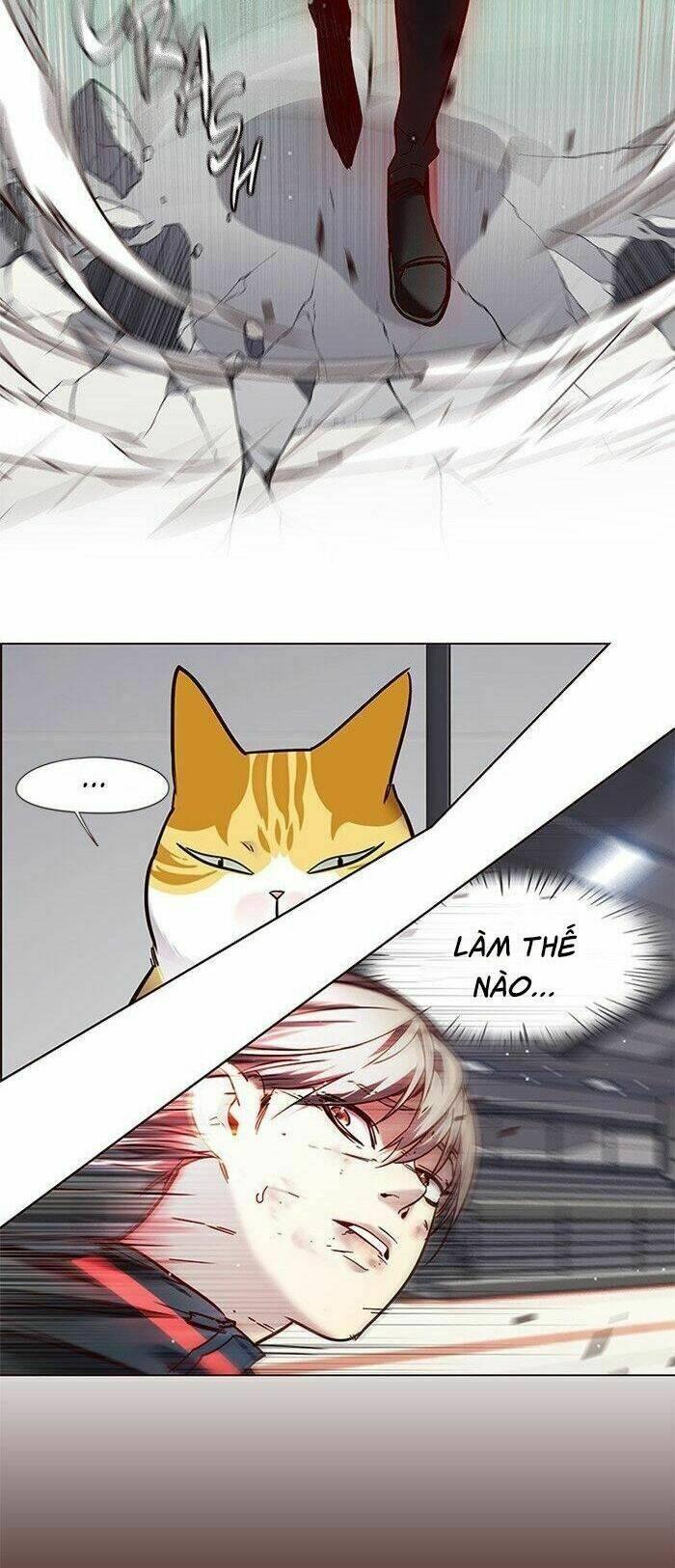biến thân thành mèo chapter 87 39