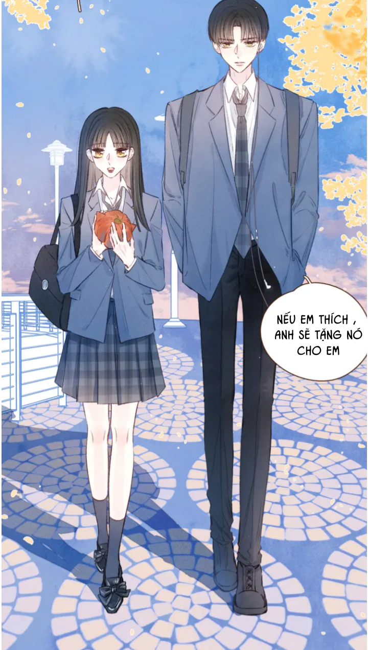 nỗi buồn của hoa cẩm tú cầu chapter 42 23