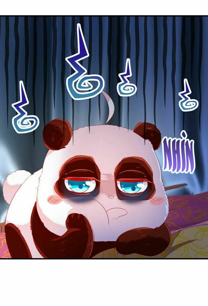 thiên thần gấu trúc muốn được ôm chapter 38 5