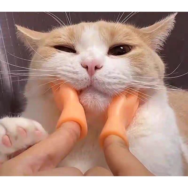 Bàn tay nhựa massage cho chó mèo giúp các bé thư giãn - đồ chơi cho chó mèo