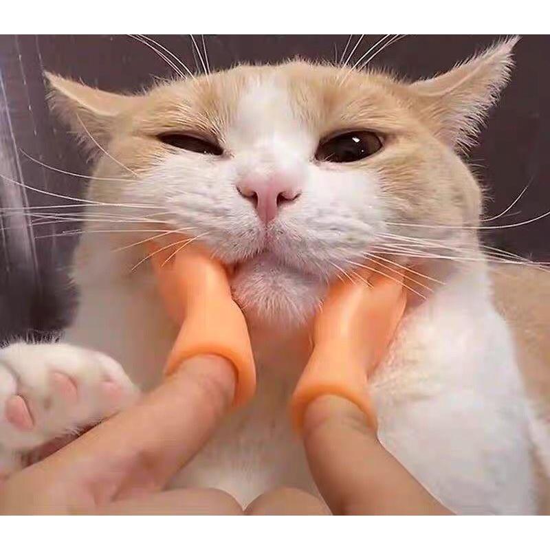 Bàn tay nhựa massage cho chó mèo giúp các bé thư giãn - đồ chơi cho chó mèo