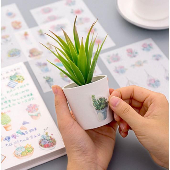 Set 6 tập sticker trang trí cây xương rồng Cantus
