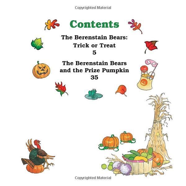 The Berenstain Bears Fall Family Fun