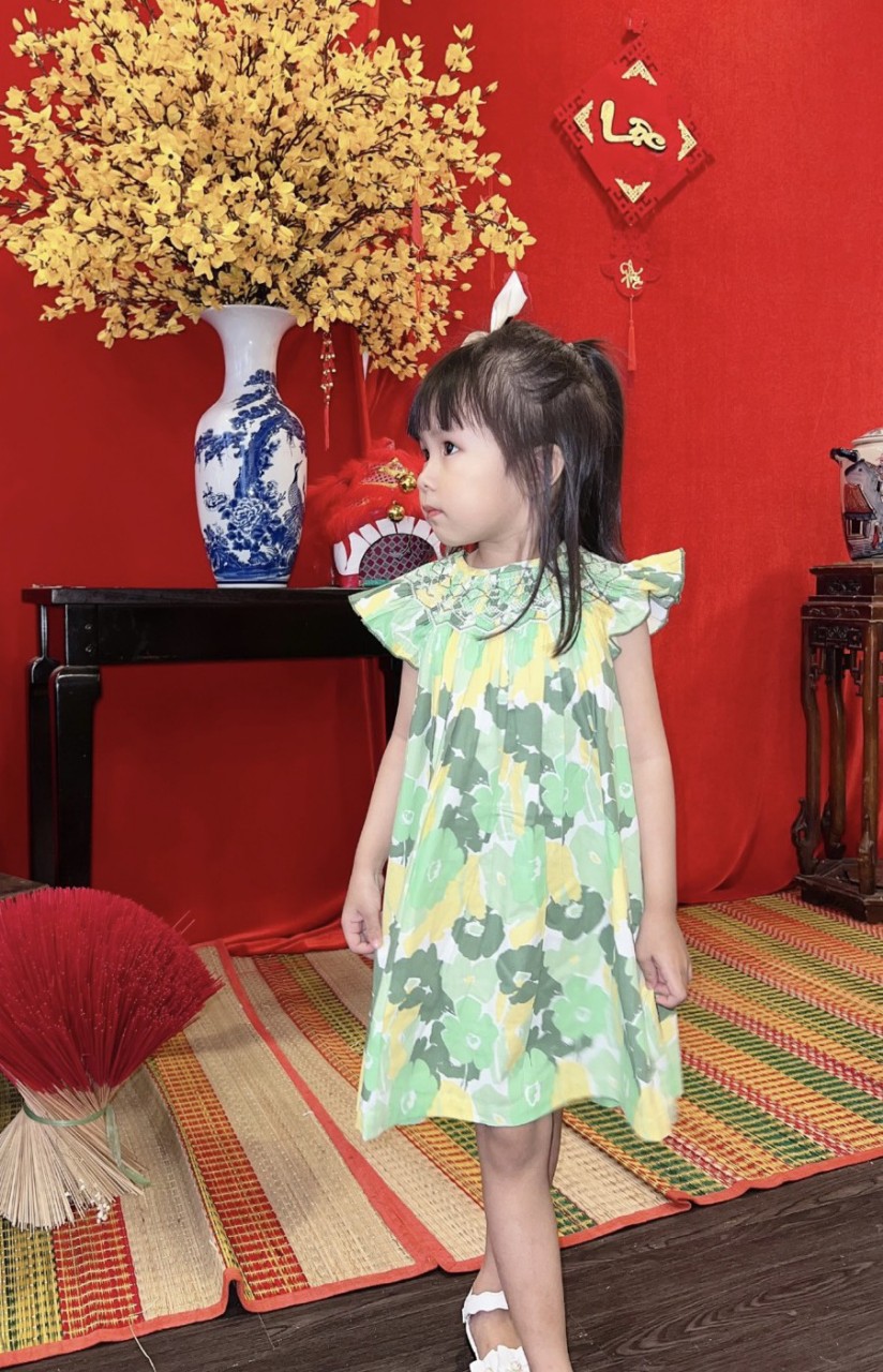 ĐẦM BÉ GÁI CỔ TRÒN THÊU MÓC XÍCH ĐÔ ÁO CÀI NÚT SAU