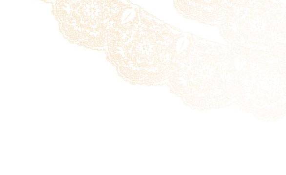 tôi tưởng đó chỉ là tiểu thuyết trọng sinh bình thường chapter 30 70