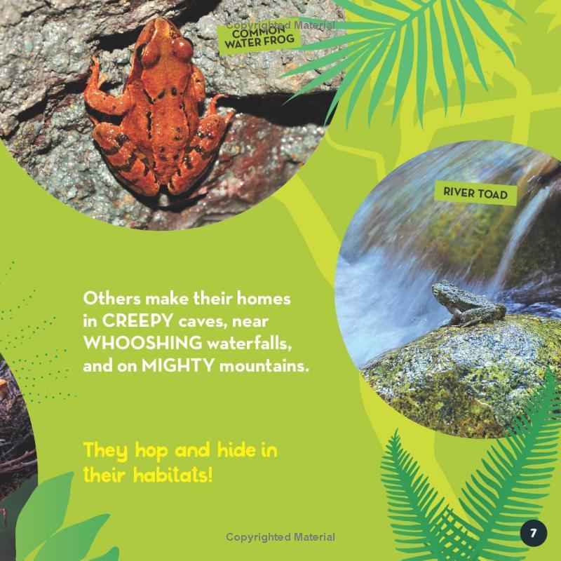 Sách ngoại văn: Go Wild! Frogs