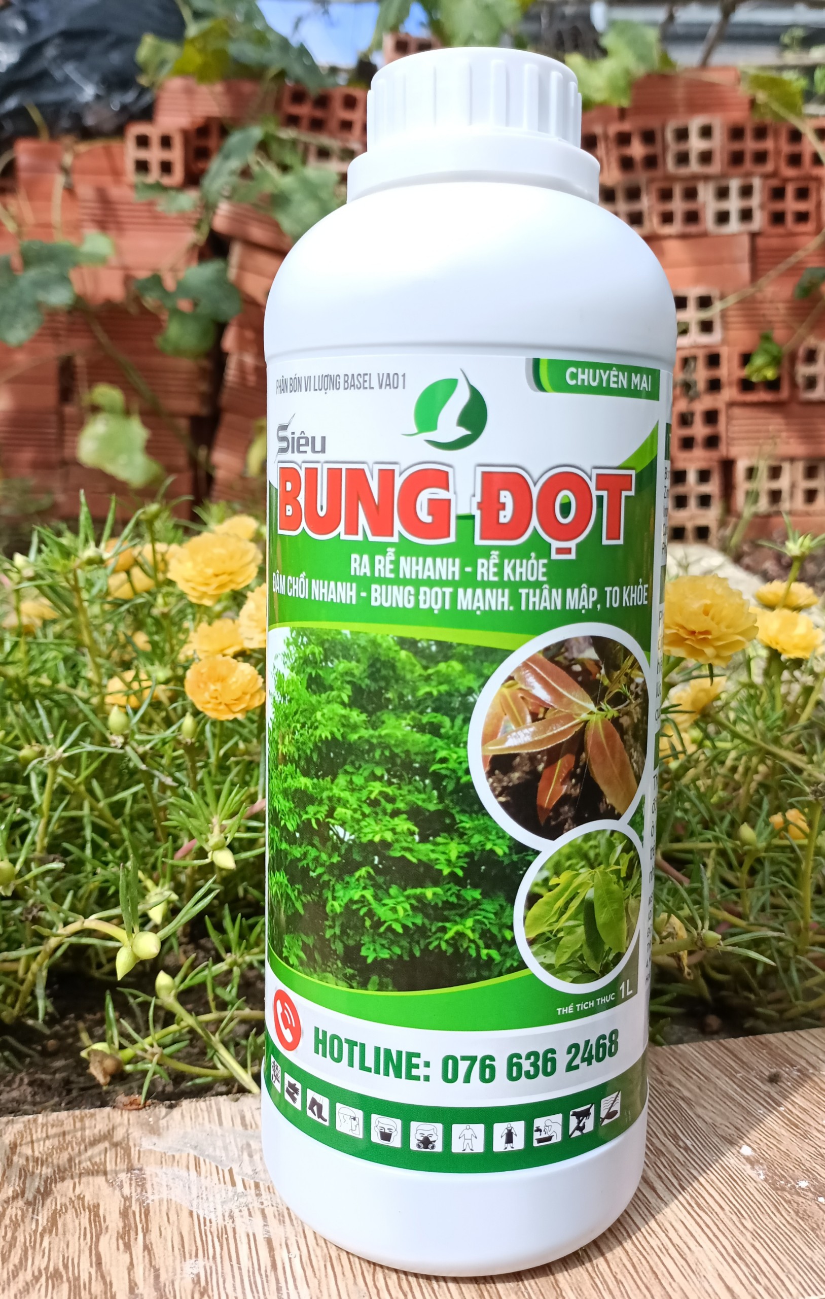 PHÂN BÓN LÁ SIÊU BUNG ĐỌT CHUYÊN DÀNH CHO MAI, CHO CÂY KIỂNG - PHỤC HỒI TÁI TẠO BỘ RỄ CHO MAI VÀNG