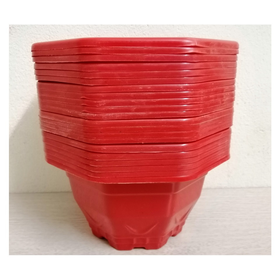ComBo 20 Chậu Nhựa Trồng Cây Bát Giác Mini Kích Thước 17x17x10Cm