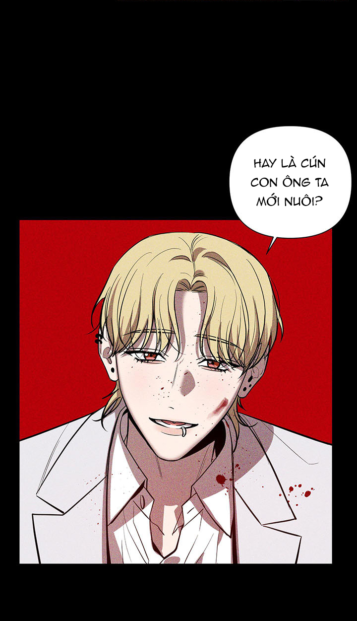 bình minh chia cắt màn đêm chapter 28 11