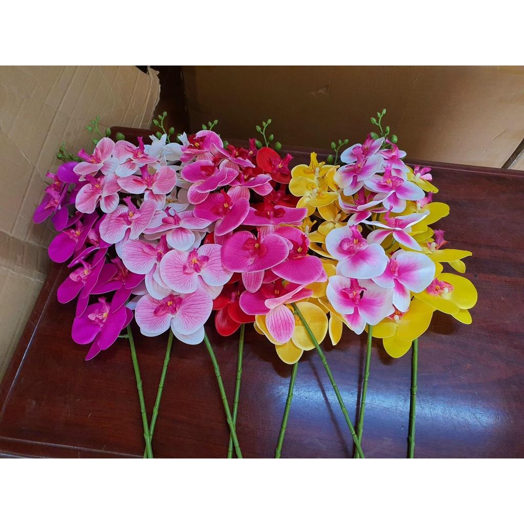 Cành lan hồ điệp giả 9 bông chất cao su non, hàng đẹp.