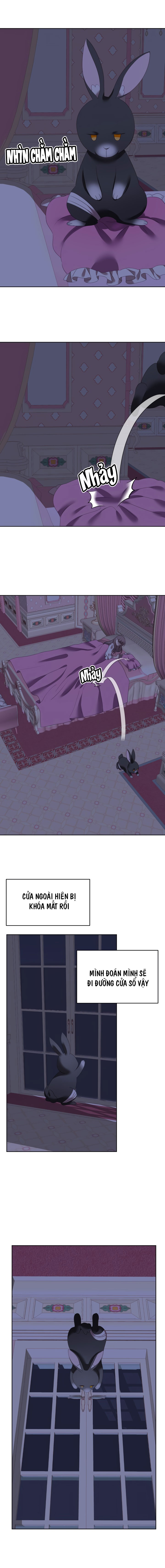 công chúa giả mạo và chú thỏ con chapter 3 7