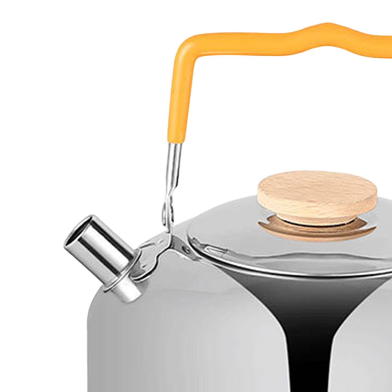 Water Boiler 1L Camping Water Kettle Teapot Coffee Pot Anti Scald Handle Teakettle Tea Pot Lightweight for Barbecue Mountaineering Campfire