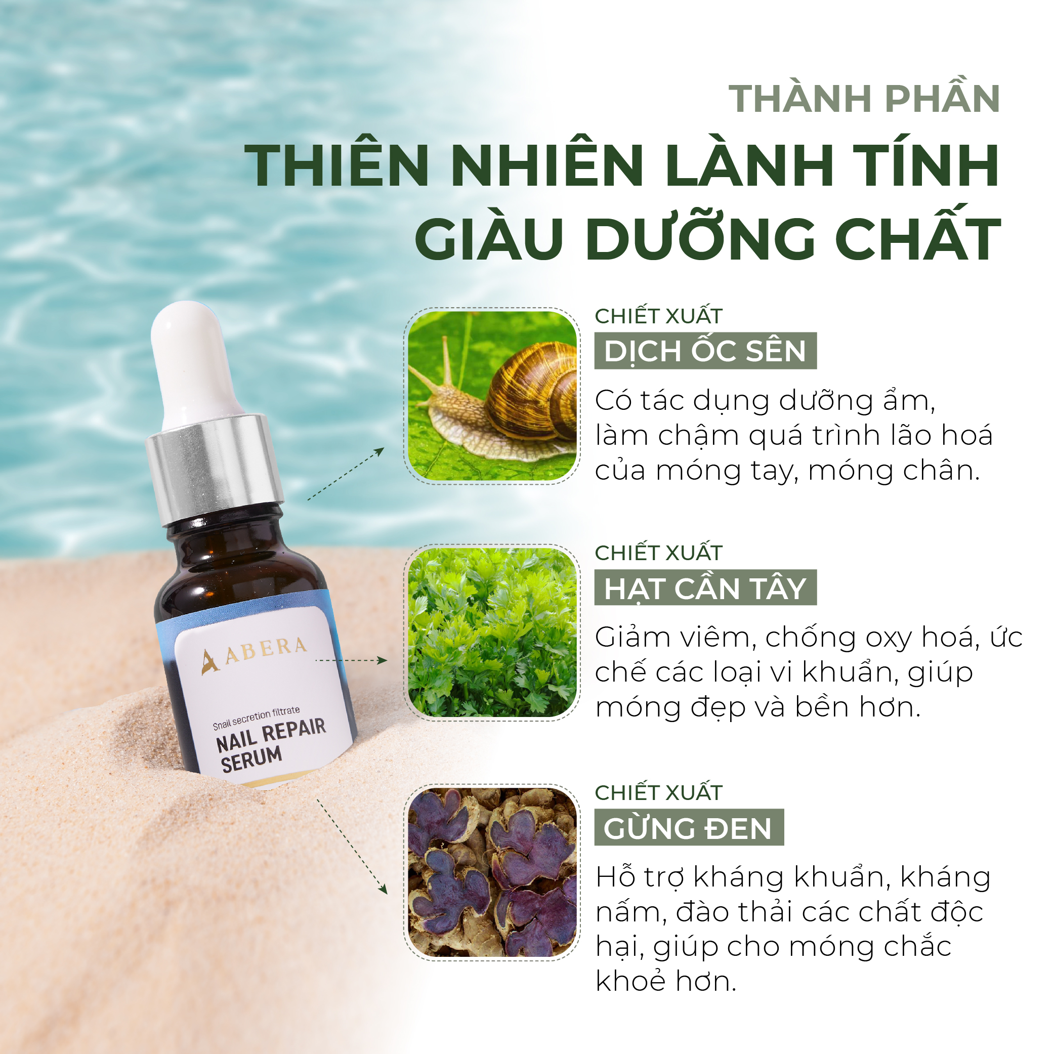 [Combo] Serum Phục Hồi Móng ABERA Dưỡng Móng NAIL REPAIR Giải Pháp Chăm Sóc Móng Tối Ưu