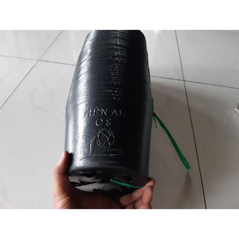 50 chậu c8 liên an