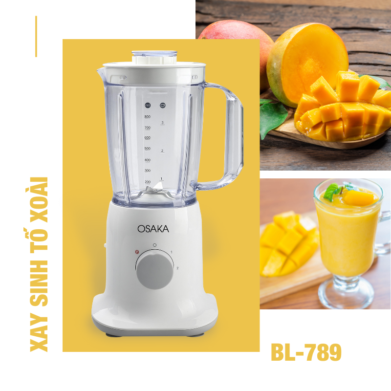 Máy Xay Sinh Tố Đa Năng Cao Cấp Osaka BL789 - Hàng Chính Hãng