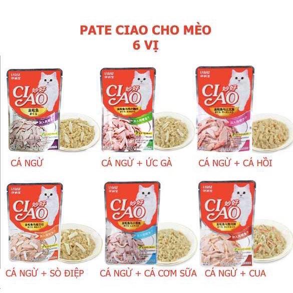 (SIÊU RẺ) Combo 10 gói 60g pate Ciao cho mèo MIX VỊ, THƠM NGON