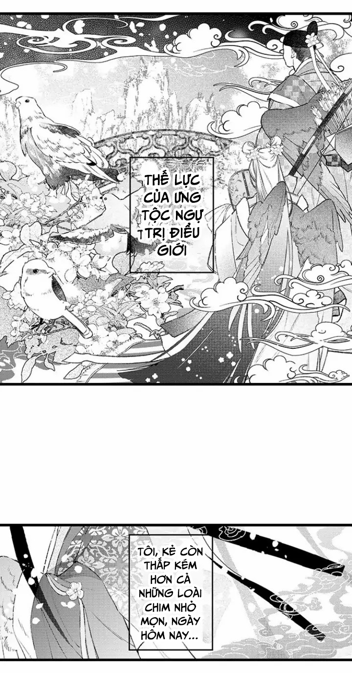 điểu thượng minh hoa chapter 1.1 2