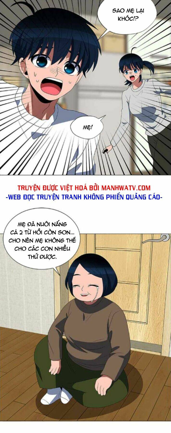 no scope chapter 113 26