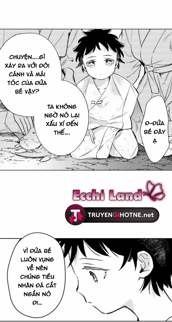 điểu thượng minh hoa chapter 1.1 10