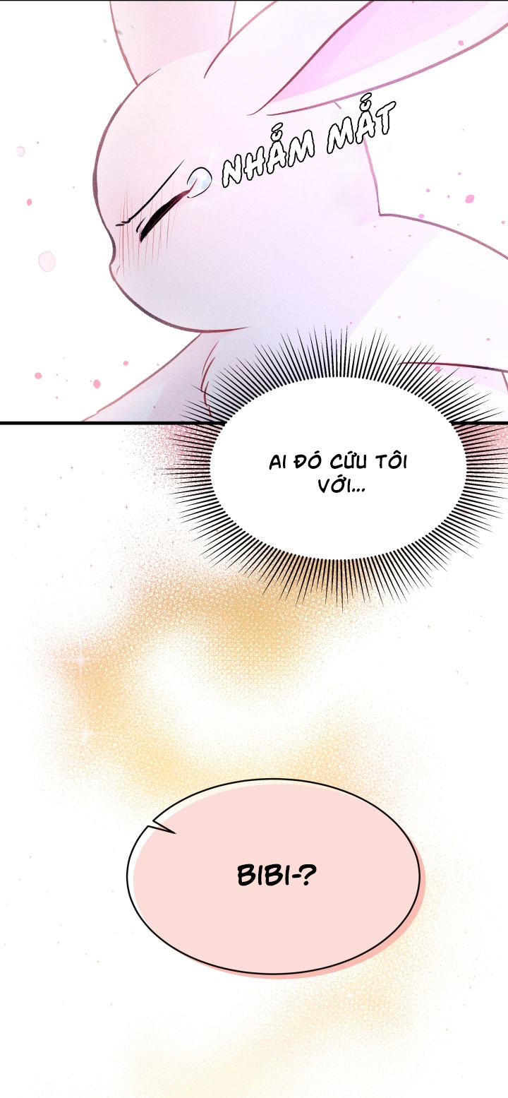 mối liên kết giữa báo đen và bé thỏ chapter 14 15