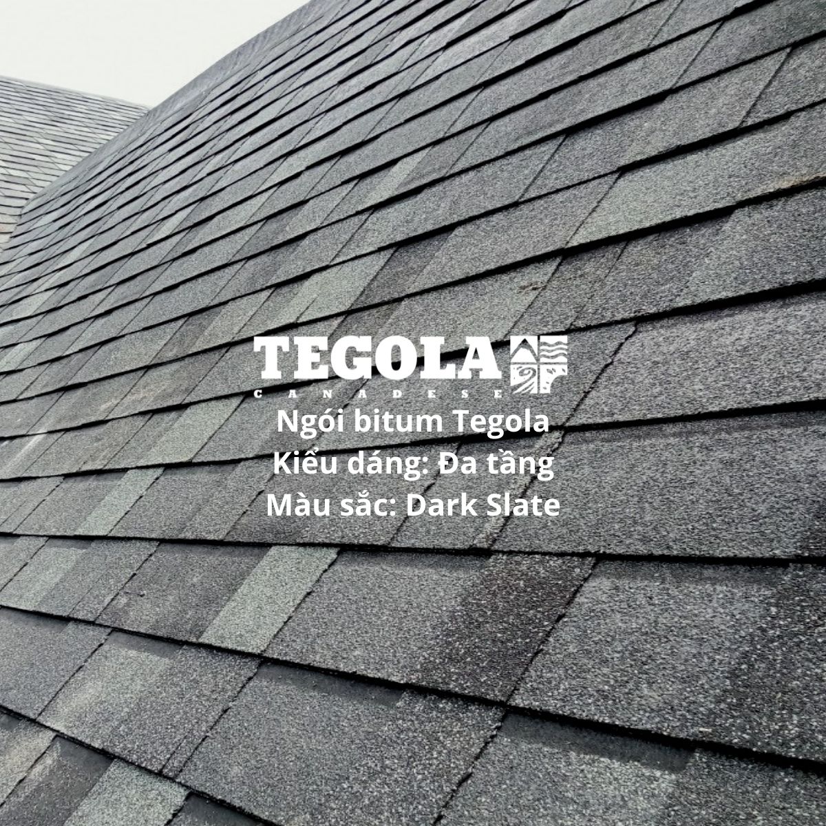 Tấm lợp bitum Tegola Đa tầng Dark Slate - tấm dán phủ đá cao cấp từ nhà máy Ý cho mái biệt thự, nhà phố, nhà gỗ, nhà tiền chế, bungalow - 2m2/gói