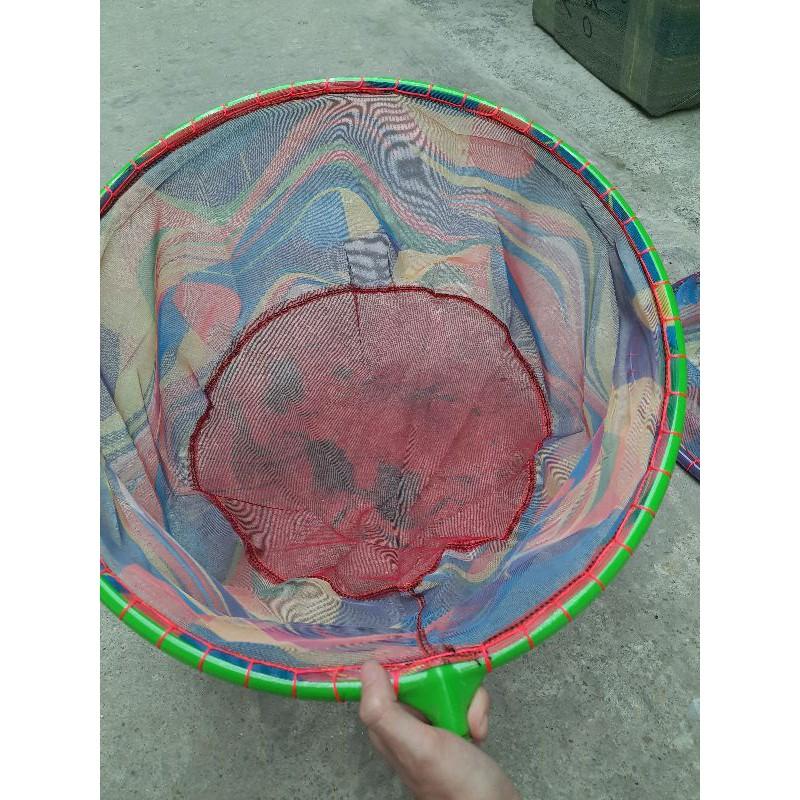 Vành vợt câu đài cá chép