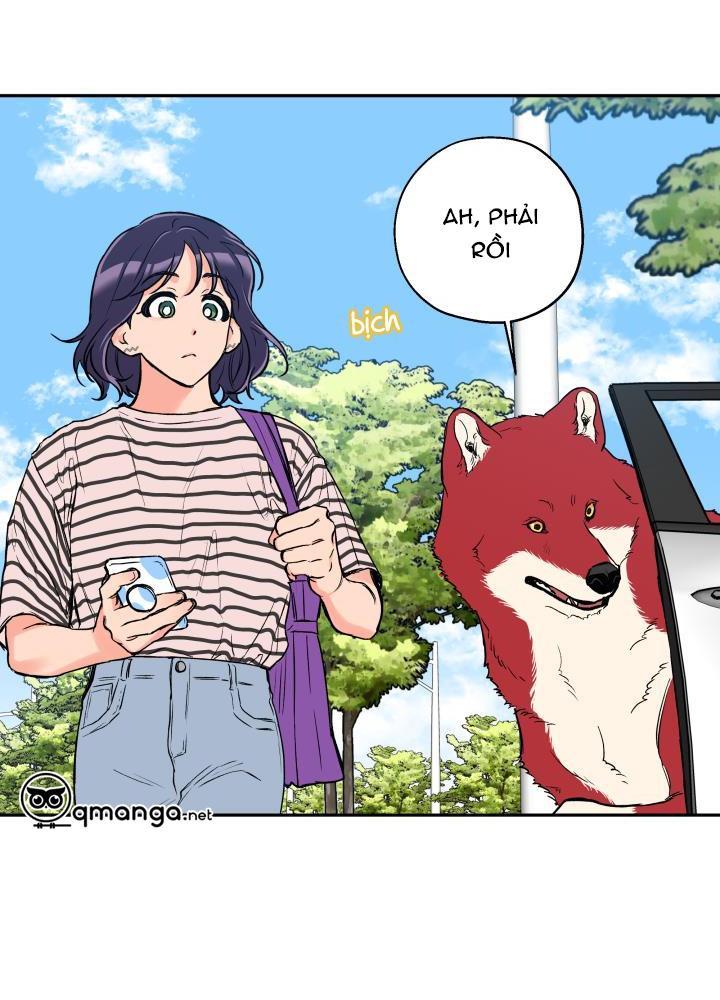 gâu gâu! chapter 33 44