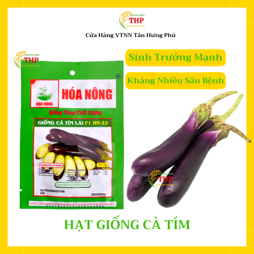 Hạt giống Cà Tím Lai F1 HN-33 | Hạt Giống | Gói 1gr