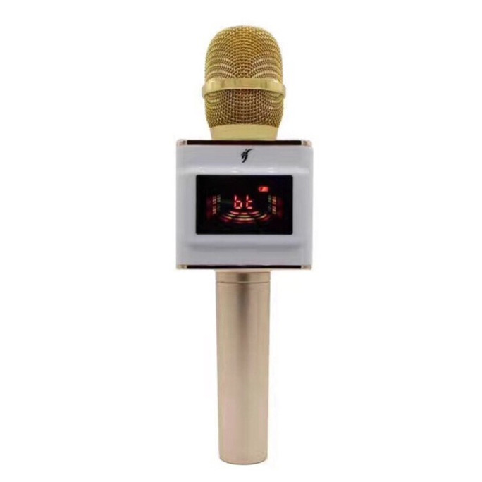 Micro Karaoke T10 - Hàng Nhập Khẩu (Màu Ngẫu Nhiên)