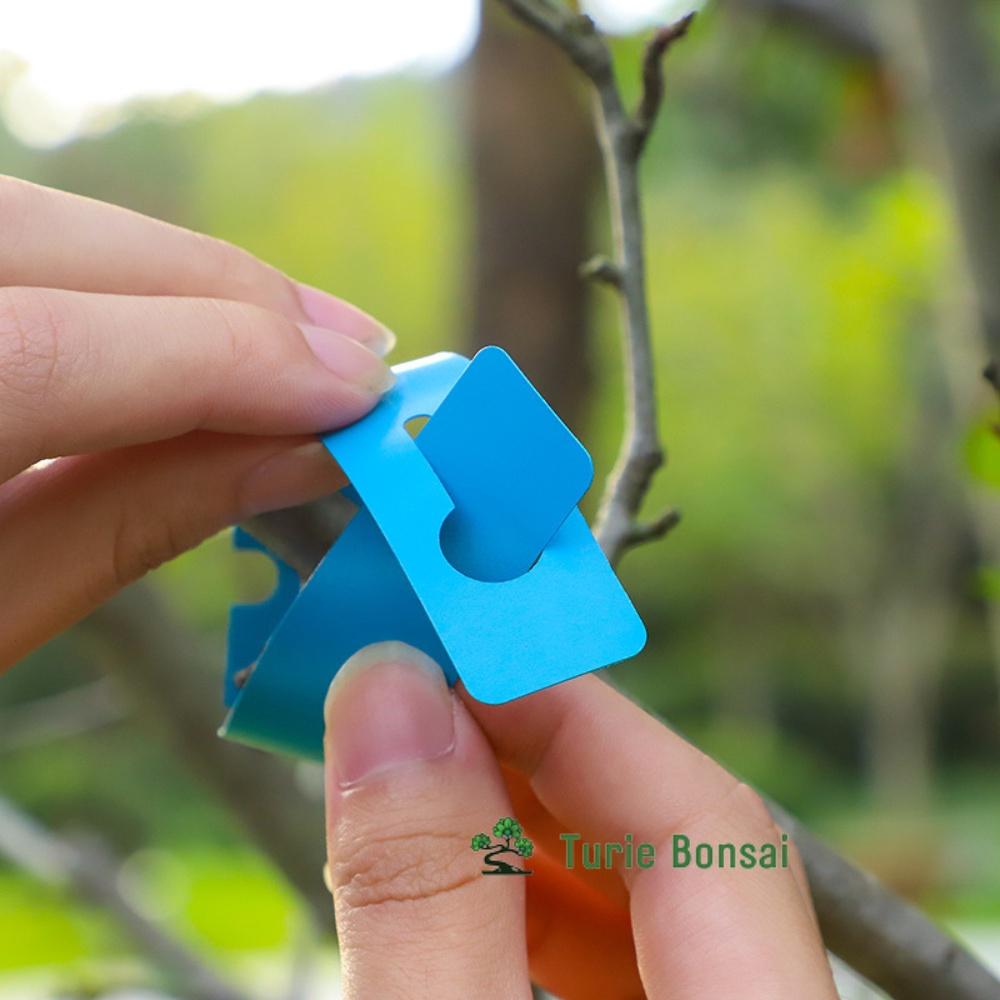 Thẻ Ghi Tên nhựa PVC Chống Nước Treo Cây Trồng màu giao ngẫu nhiên