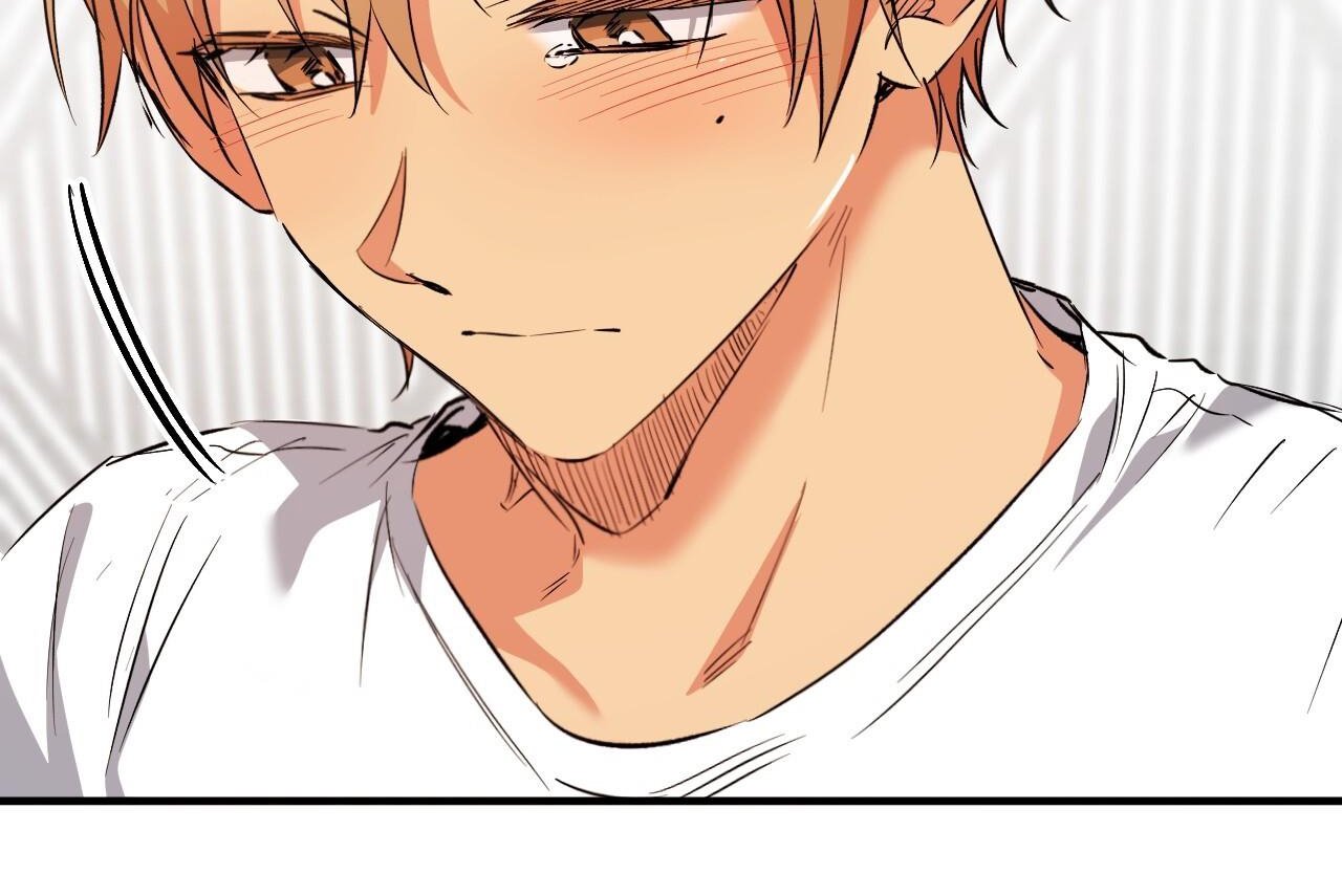 những chú thỏ của hapypy chapter 61 63