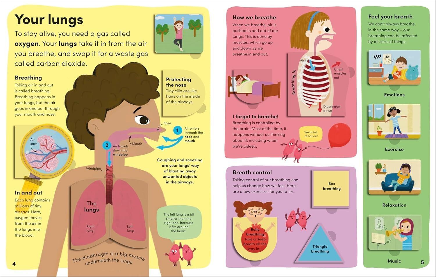 Sách ngoại văn: You And Your Body - A First Look Inside The Human Body