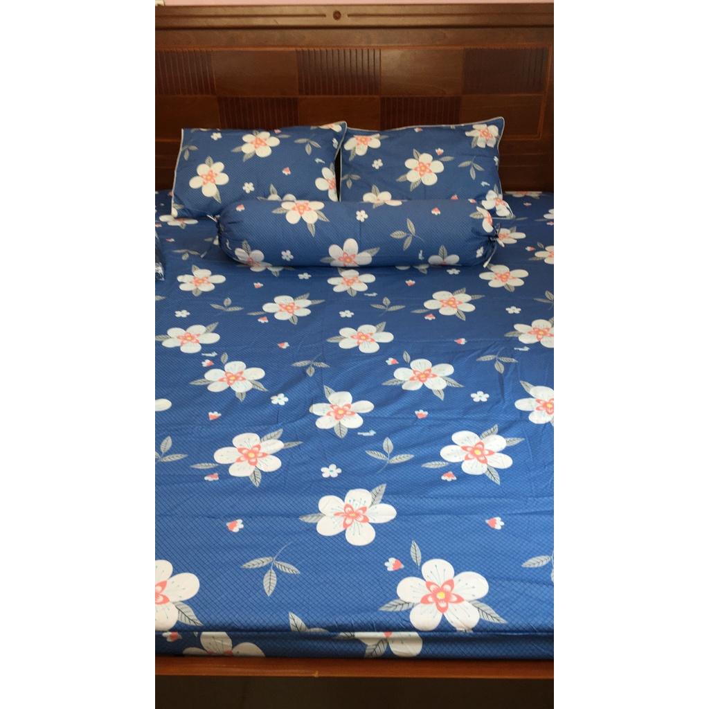Bộ Drap Cotton THẮNG LỢI 4 món /